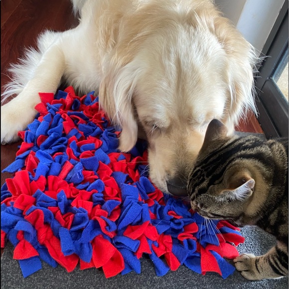 TIMMY’S SNIFFYS - MEDIUM SNIFF MAT 35cm x 35cm - Picture 4 of 5